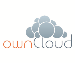 ownCloud + Google Drive + Encryption -> nice cloud sync (even for Linux)